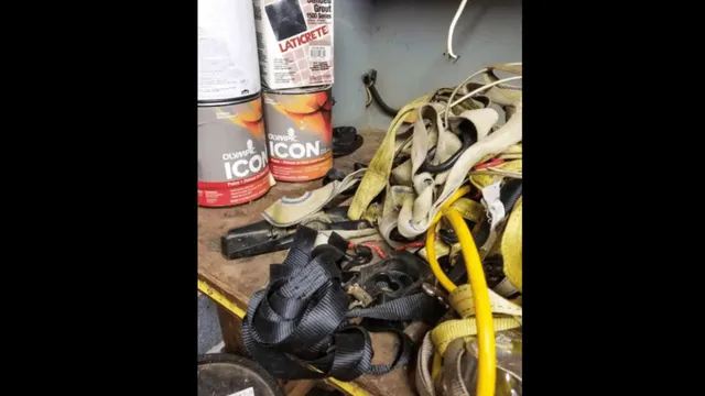 test-your-survival-instincts-by-spotting-the-snake-in-under-10-seconds